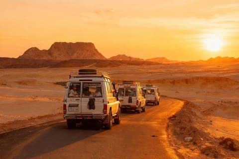 Desert Safari